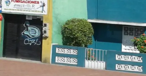 FUMIGACIONES OMZI FUMIGACIONES OMZI